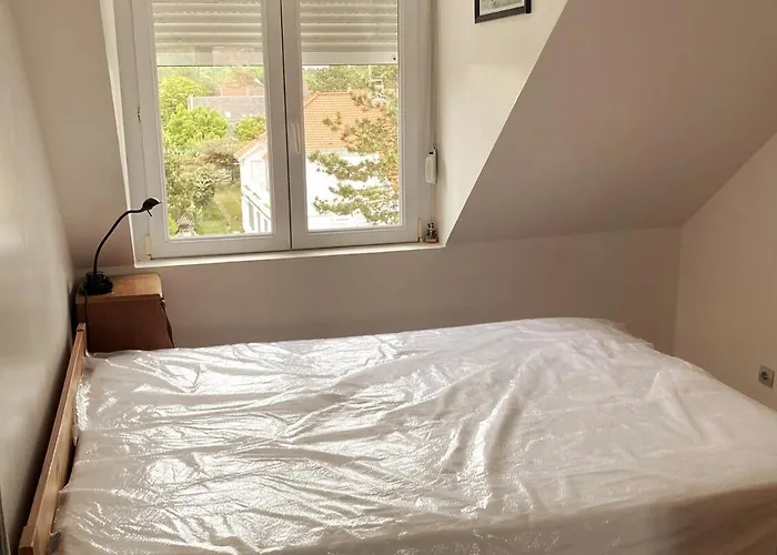 Centre-ville Tempete 8 *